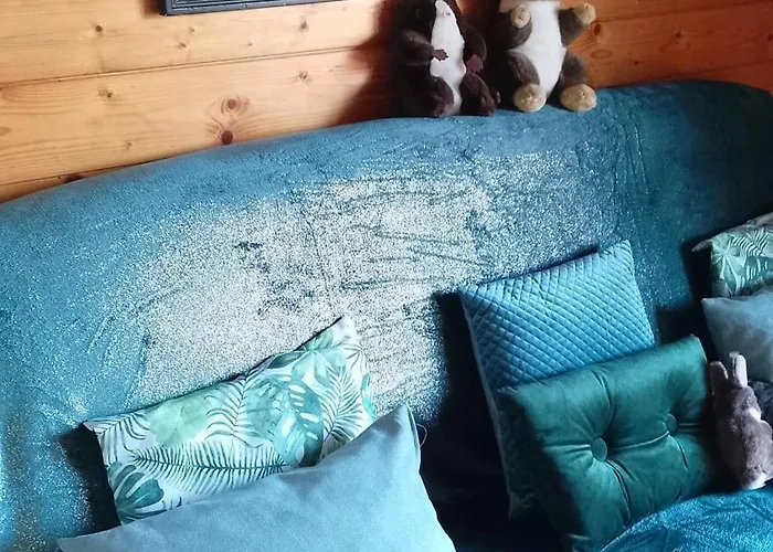 Appt F2 A 200m Du Situe Plein Sud -vue Apartman Gérardmer